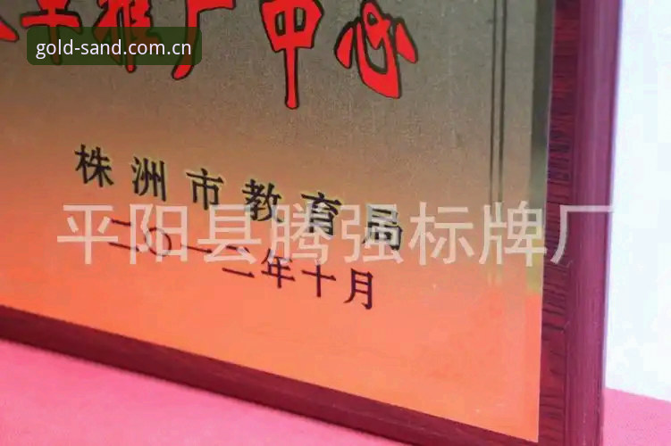资深用户陈磊亲述：沙金中国官方网站入口使用心得与2025最新版实战体验